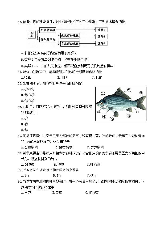 江苏省淮安地区2020-2021学年七年级下学期期末检测生物试卷（word版 含答案）第3页