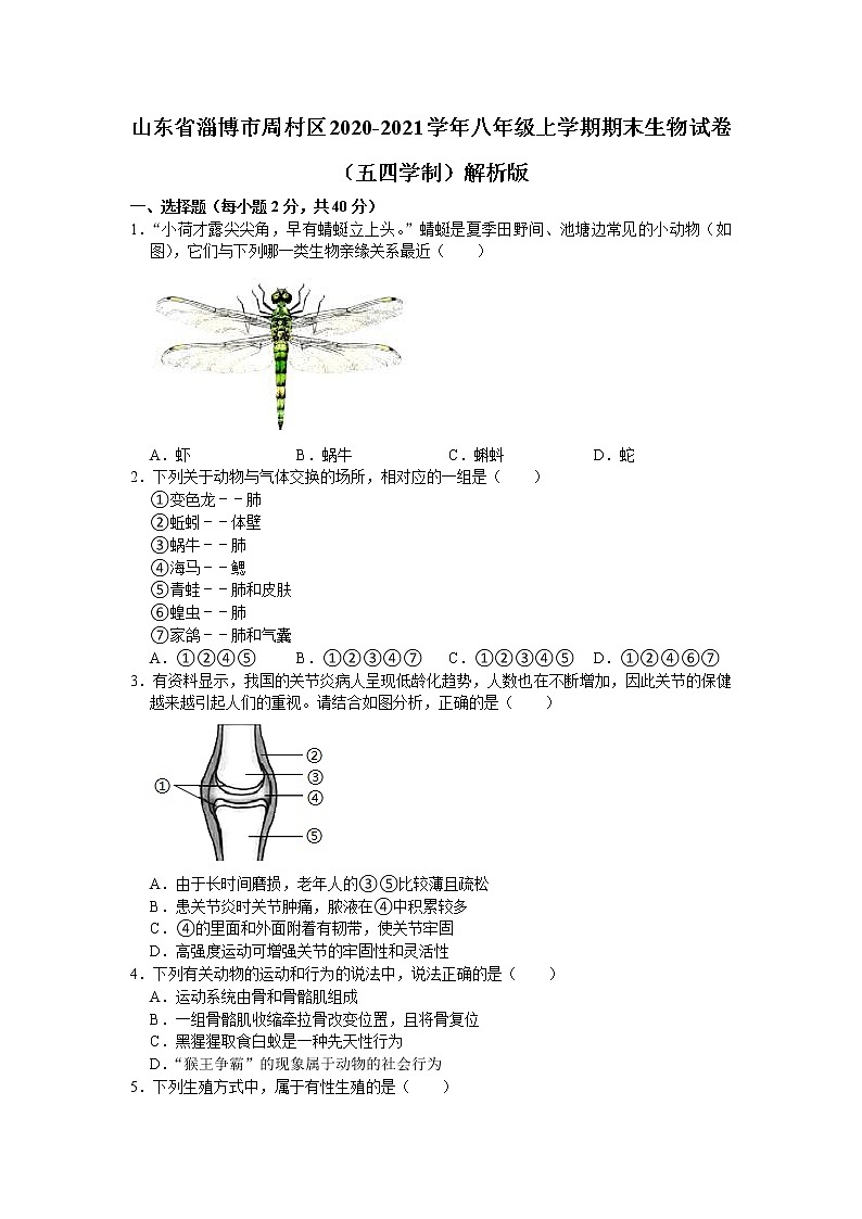 山东省淄博市周村区2020-2021学年八年级上学期期末生物试卷（word版 含答案）01