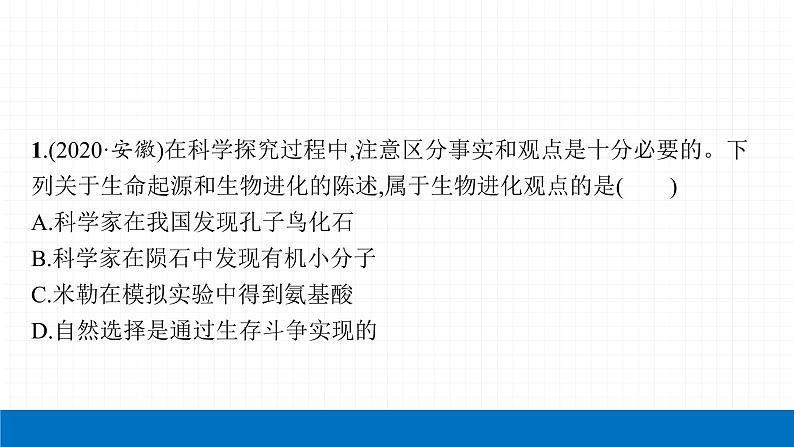 2022届初中生物一轮复习 第二十三讲 生命起源和生物进化 课件第4页