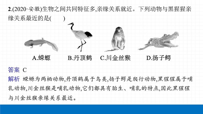 2022届初中生物一轮复习 第二十三讲 生命起源和生物进化 课件第6页