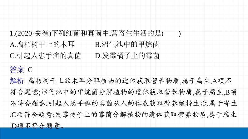 2022届初中生物一轮复习 第十八讲 细菌、真菌和病毒 课件04