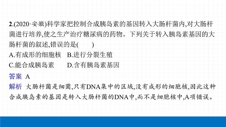 2022届初中生物一轮复习 第十八讲 细菌、真菌和病毒 课件05