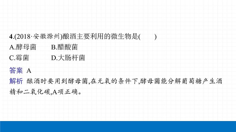 2022届初中生物一轮复习 第十八讲 细菌、真菌和病毒 课件07