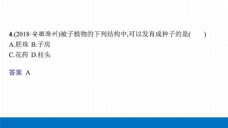 2022届初中生物一轮复习 第六讲 被子植物的一生 课件第7页