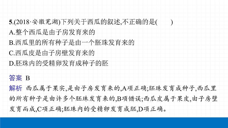 2022届初中生物一轮复习 第六讲 被子植物的一生 课件第8页