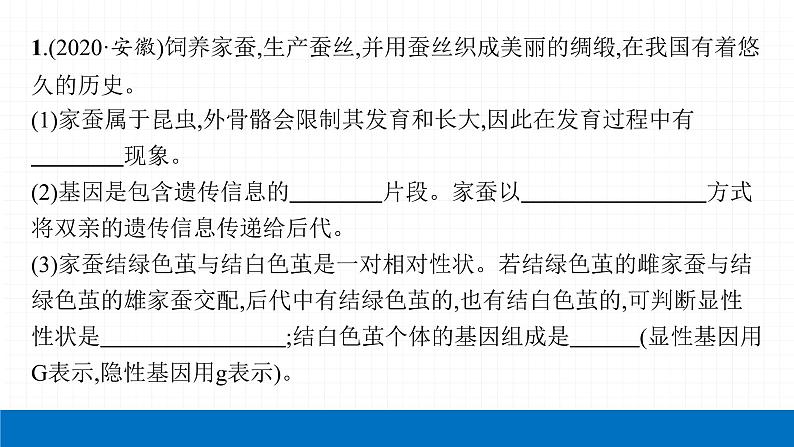 2022届初中生物一轮复习 第二十一讲 生物的遗传和变异(一) 课件04