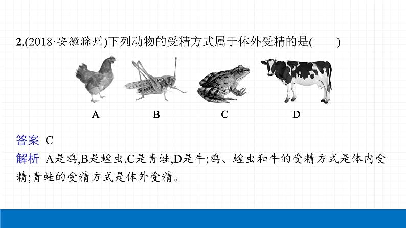 2022届初中生物一轮复习 第二十讲 生物的生殖和发育 课件05