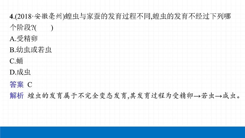 2022届初中生物一轮复习 第二十讲 生物的生殖和发育 课件07