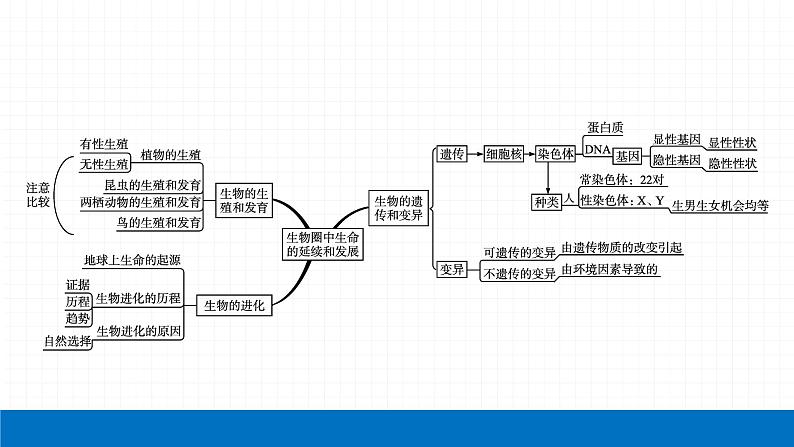 2022届初中生物一轮复习 专题七　生物圈中生命的延续和发展课件PPT第4页