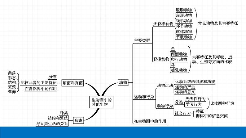 2022届初中生物一轮复习 专题五　生物圈中的其他生物课件PPT第4页