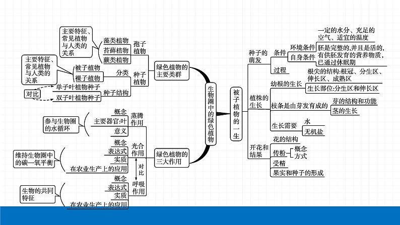 2022届初中生物一轮复习 专题三　生物圈中的绿色植物课件PPT04