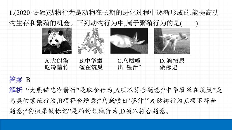 2022届初中生物一轮复习 第十七讲 动物的运动、行为及动物在生物圈中的作用 课件04