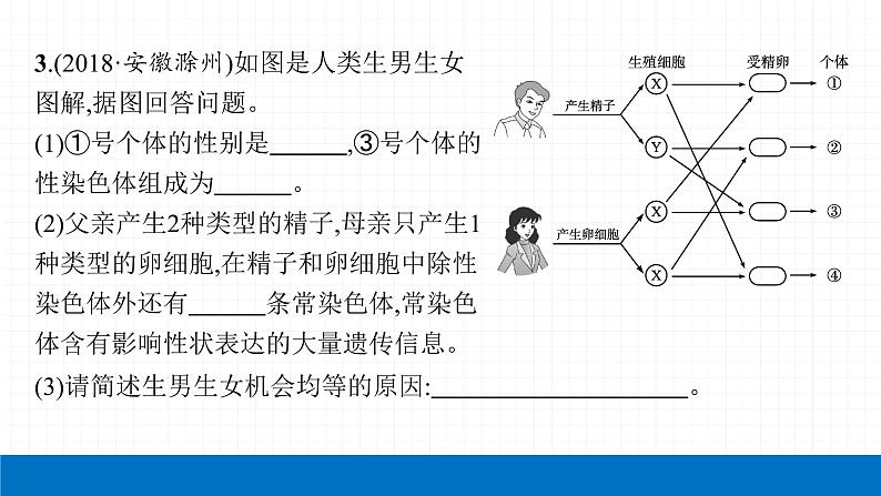 2022届初中生物一轮复习 第二十二讲 生物的遗传和变异(二) 课件第7页