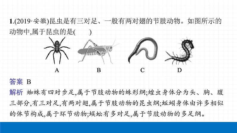 2022届初中生物一轮复习 第十六讲 动物的主要类群 课件第4页