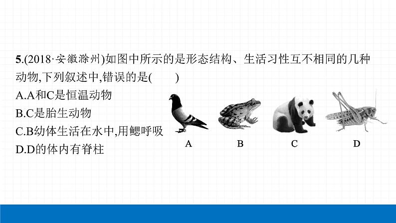 2022届初中生物一轮复习 第十六讲 动物的主要类群 课件第8页