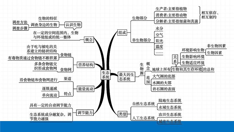 2022届初中生物一轮复习 专题一　生物和生物圈课件PPT04