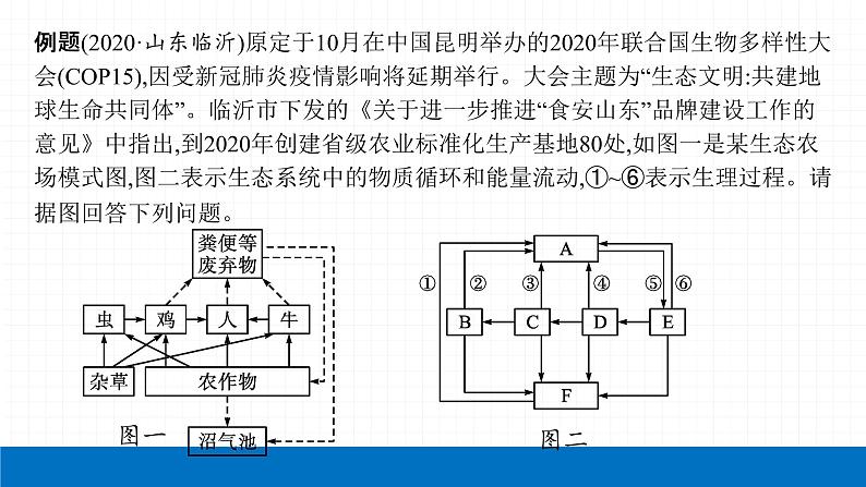 2022届初中生物一轮复习 专题一　生物和生物圈课件PPT07