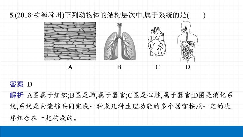 2022届初中生物一轮复习 第四讲 细胞怎样构成生物体 课件第8页