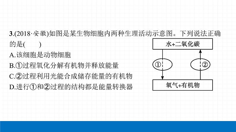 2022届初中生物一轮复习 第八讲 生物圈中的碳—氧平衡 课件06