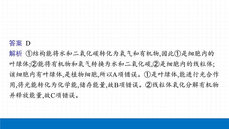 2022届初中生物一轮复习 第八讲 生物圈中的碳—氧平衡 课件07