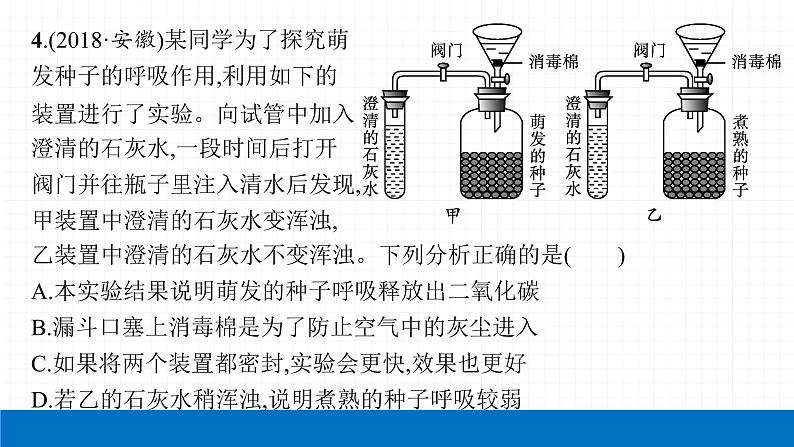 2022届初中生物一轮复习 第八讲 生物圈中的碳—氧平衡 课件08