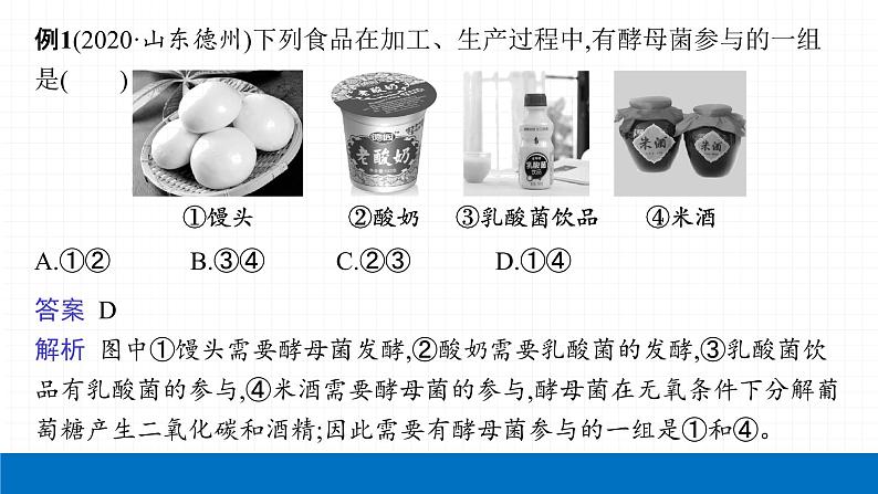 2022届初中生物一轮复习 专题九　生物技术课件PPT07