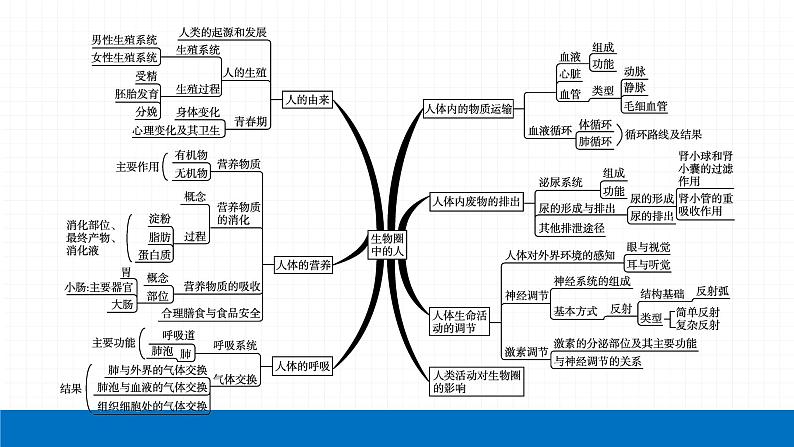 2022届初中生物一轮复习 专题四　生物圈中的人课件PPT第4页