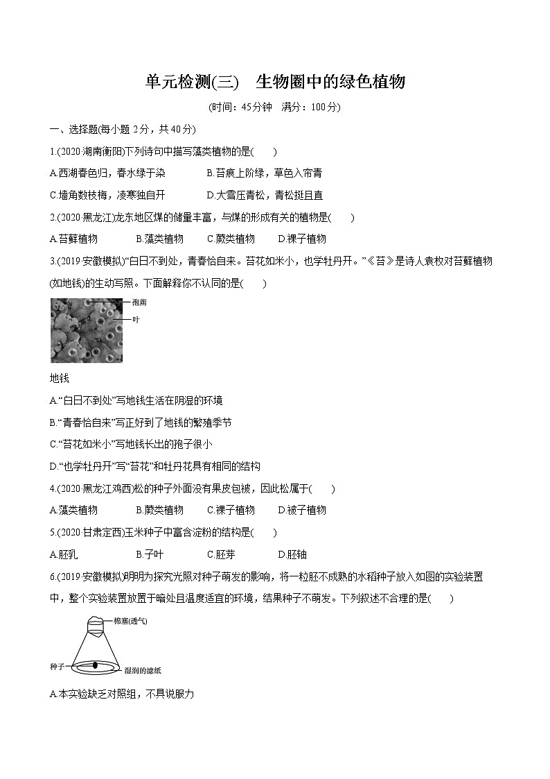 2022届初中生物一轮复习 单元检测(三)　生物圈中的绿色植物第1页