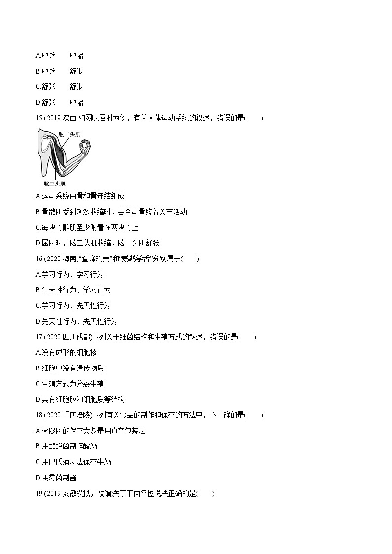 2022届初中生物一轮复习 单元检测(五)　生物圈中的其他生物第3页