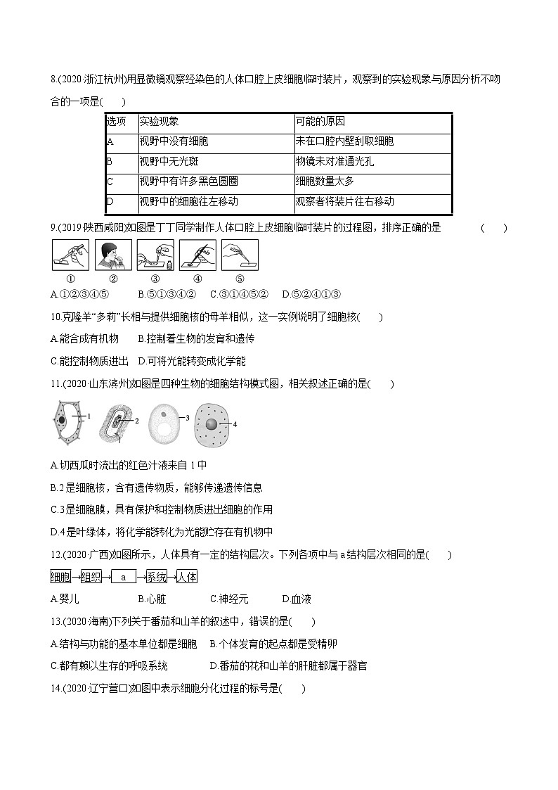 2022届初中生物一轮复习 单元检测(二)　生物体的结构层次第2页