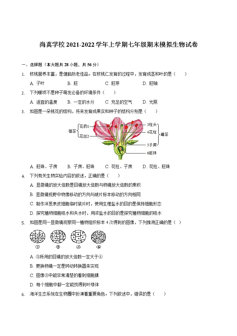 安徽省定远县尚真学校2021-2022学年上学期七年级期末模拟生物试卷（word版 含答案）01