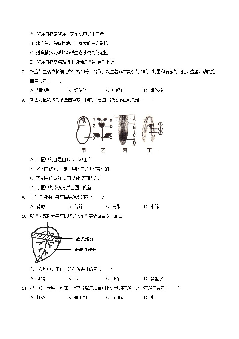 安徽省定远县尚真学校2021-2022学年上学期七年级期末模拟生物试卷（word版 含答案）02