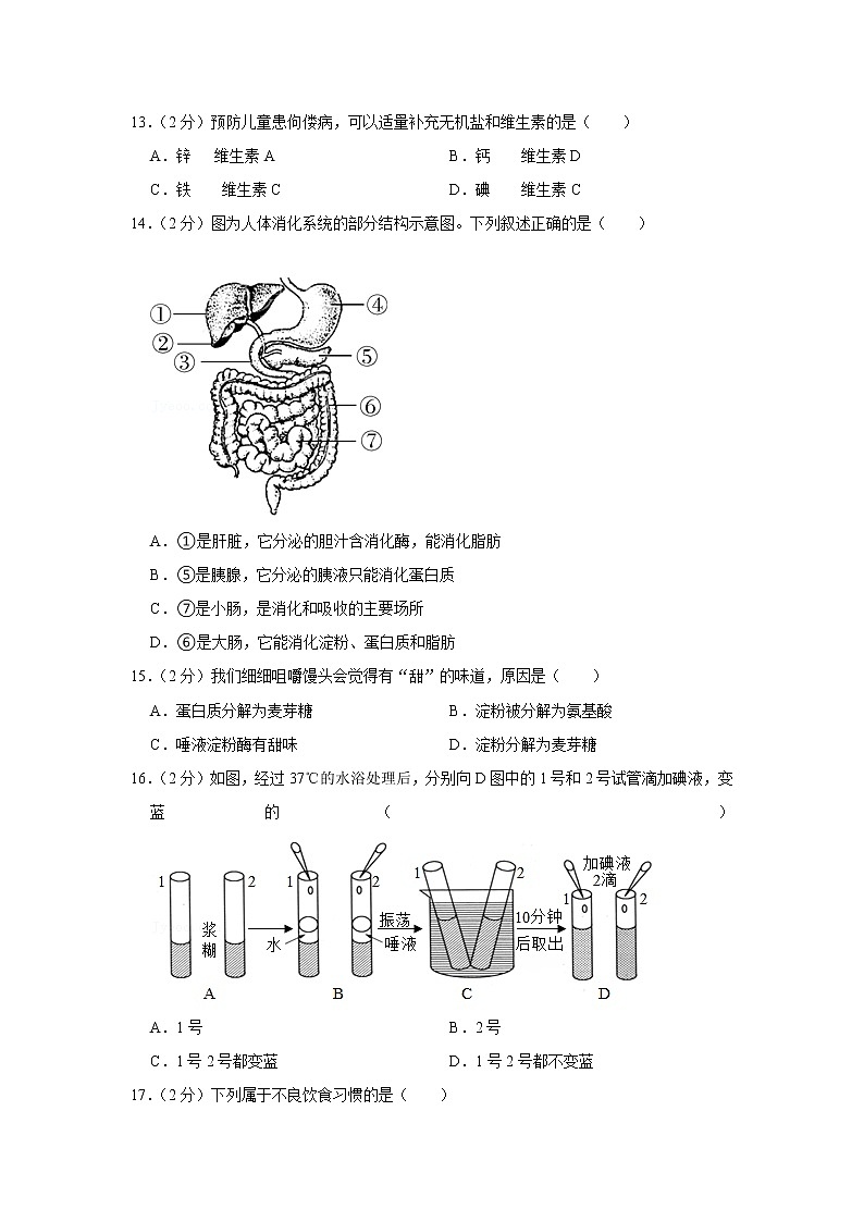2020-2021学年广东省深圳市福景外国语学校七年级（下）期中生物试卷（含答案）第3页