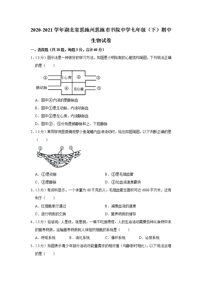 2020-2021学年湖北省恩施州恩施市书院中学七年级（下）期中生物试卷（含答案）第1页