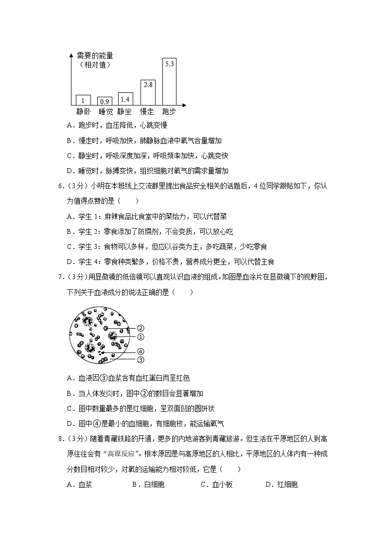 2020-2021学年湖北省恩施州恩施市书院中学七年级（下）期中生物试卷（含答案）第2页