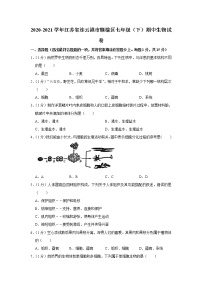 2020-2021学年江苏省连云港市赣榆区七年级（下）期中生物试卷（含答案）