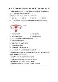 2020-2021学年湖北省黄冈市黄梅县七年级（下）期末生物试卷（含答案）