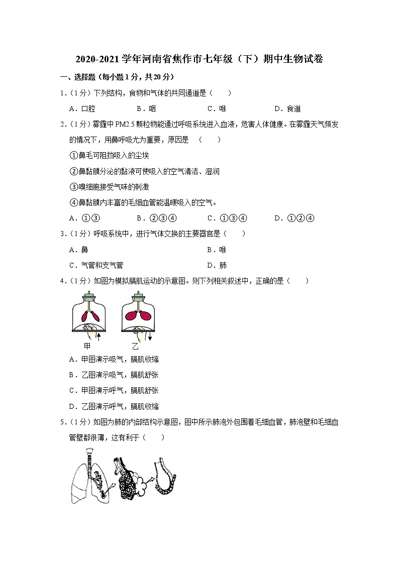 2020-2021学年河南省焦作市七年级（下）期中生物试卷（含答案）第1页