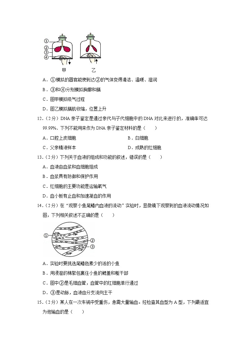 2020-2021学年四川省达州市宣汉县七年级（下）期末生物试卷（含答案）第3页
