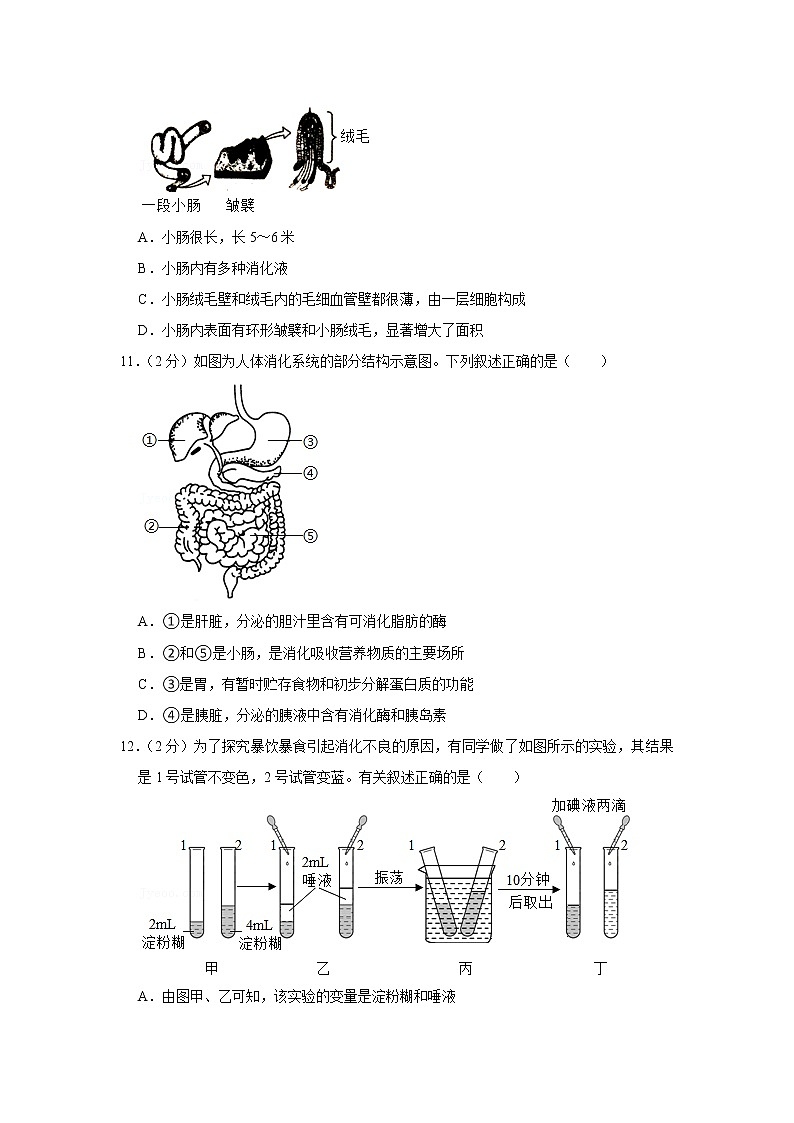 2020-2021学年山东省临沂市莒南县七年级（下）期末生物试卷（含答案）03