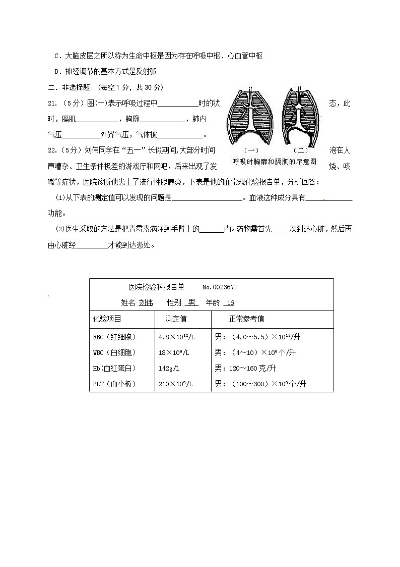 2019-2020学年河南省信阳市罗山县七年级下学期期末质量监测生物试题（含答案）第3页