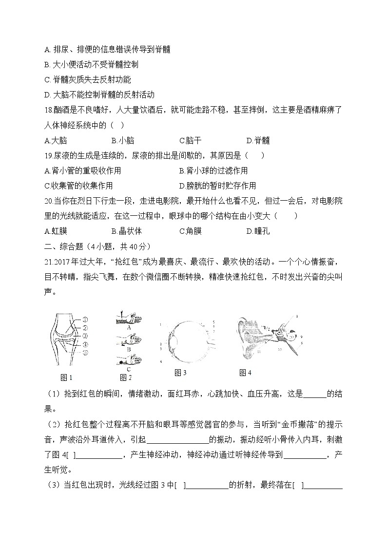 2019-2020学年安徽省定远县第一初级中学第二学期期末质量检测七年级生物卷（含答案）03