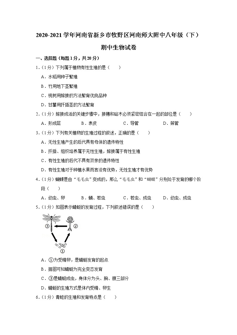 2020-2021学年河南省新乡市牧野区河南师大附中八年级（下）期中生物试卷（含答案）第1页