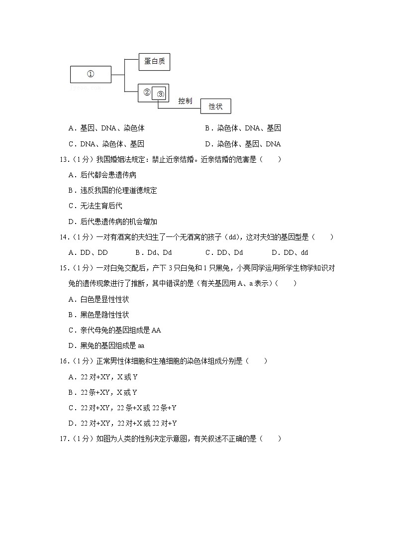 2020-2021学年河南省新乡市牧野区河南师大附中八年级（下）期中生物试卷（含答案）第3页