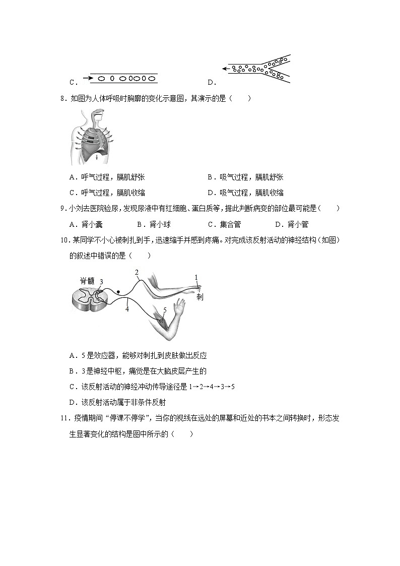 2020-2021学年北京市房山区八年级（下）期中生物试卷（一模）（含答案）02