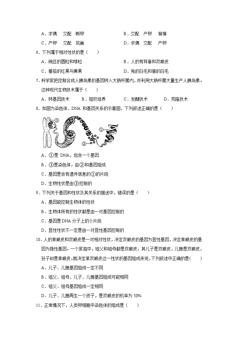 2020-2021学年河北省保定市高阳县三利中学八年级（下）期中生物试卷（含答案）02
