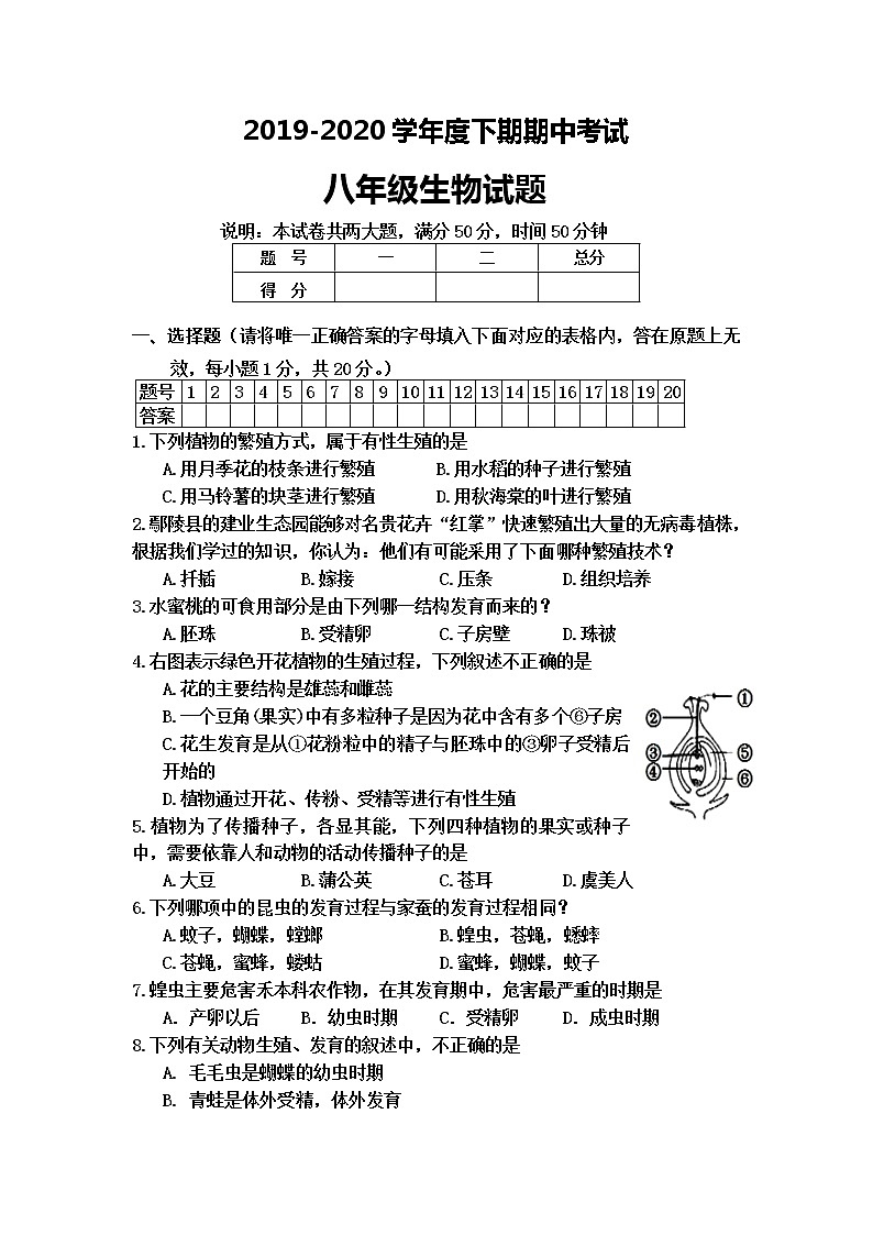2019-2020学年河南省周口市扶沟江南实验学校八年级下学期期中考试生物试卷（含答案）第1页