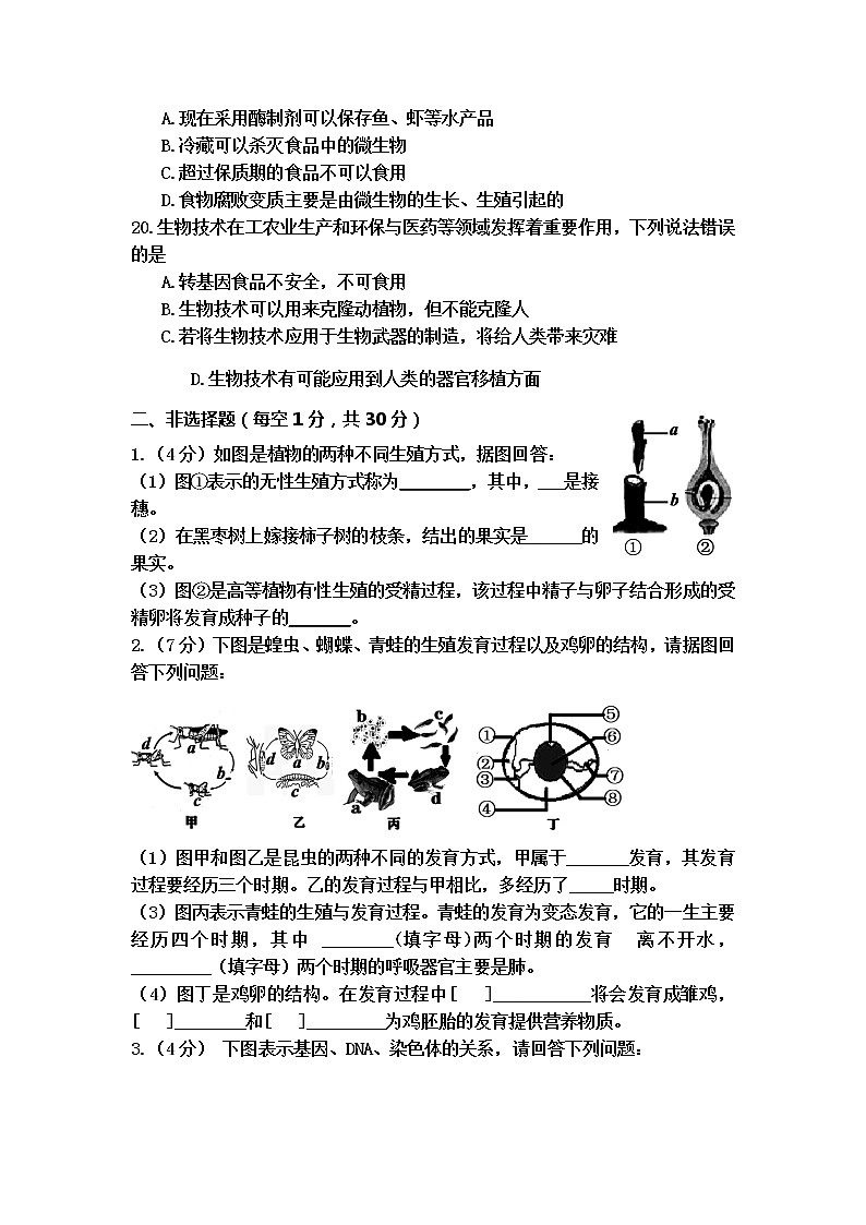2019-2020学年河南省周口市扶沟江南实验学校八年级下学期期中考试生物试卷（含答案）第3页
