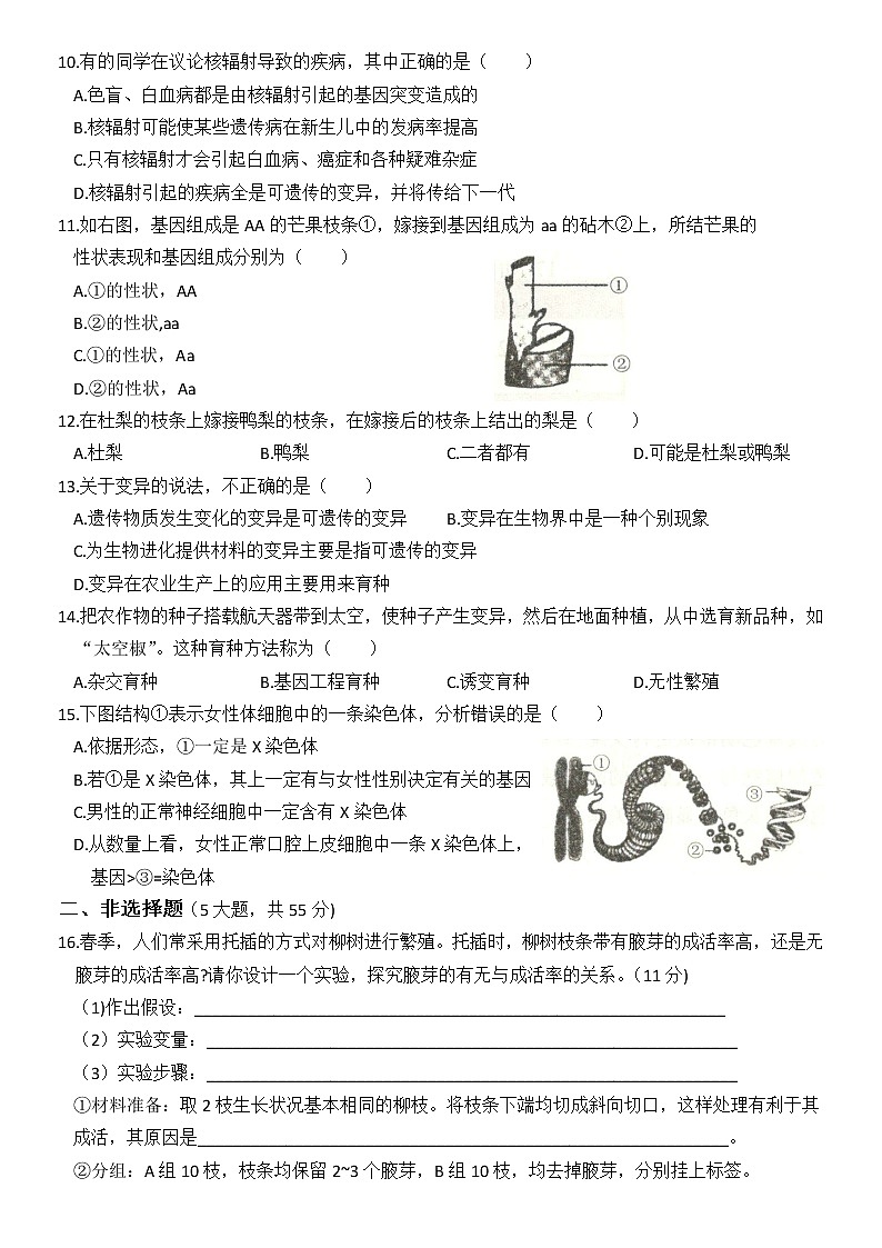 2019-2020学年江西省景德镇第一中学人教版八年级生物下册期中测评卷（含答案）第2页