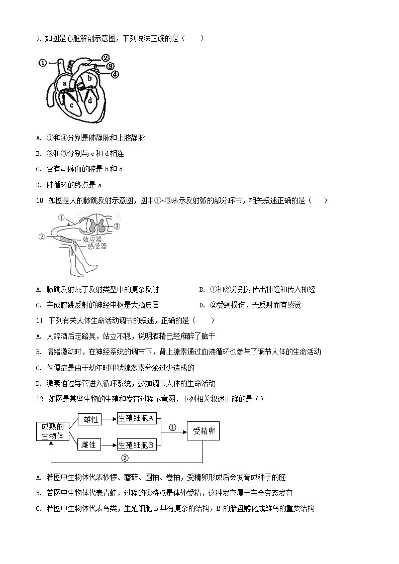 精品解析：2021年内蒙古呼和浩特市新城区中考二模生物试题（解析版+原卷版）03